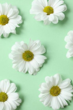 Renkli arkaplanda güzel papatya çayı