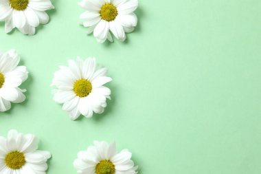 Renkli arkaplanda güzel papatya çayı