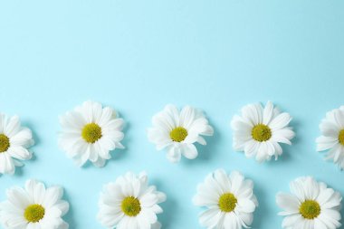 Renkli arkaplanda güzel papatya çayı