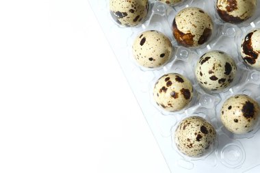 Konteynırda bıldırcın yumurtası.