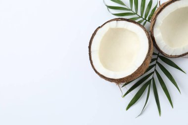 Hindistan cevizi yaprakları beyaz arka plan üzerinde ile