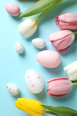 Paskalya dekoru konsepti. Renkli arka planda laleleri olan renkli yumurtaların üst görünüm fotoğrafı ve metin için boşluk