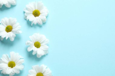 Renkli arkaplanda güzel papatya çayı