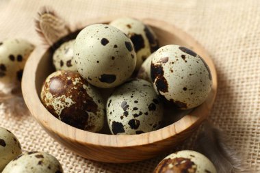 Çuval bezinde bıldırcın yumurtası