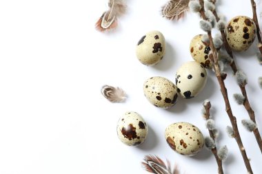 Hafif arka planda bıldırcın yumurtaları