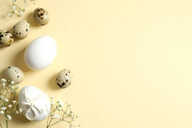 Renkli arka planda Paskalya yumurtaları ve çiçek dallarıyla kompozisyon