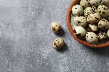 Bıldırcın yumurtası bir tabak içinde 