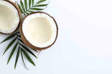 Hindistan cevizi yaprakları beyaz arka plan üzerinde ile