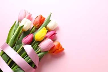 Renk arka plan üzerinde güzel taze laleler