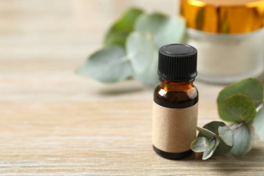 Okaliptüs, yeşil okaliptüs yapraklı cam bir şişede gerekli yağdır. Aromaterapi konsepti. Spa mı? Kozmetik ve vücut bakımı için doğal organik malzemeler.