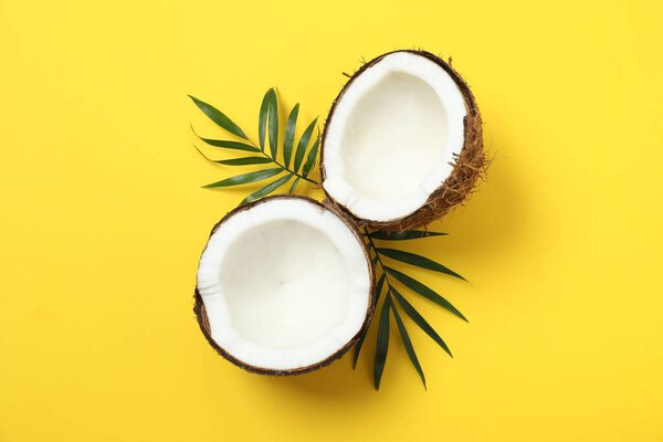Coconut  on color background, top view