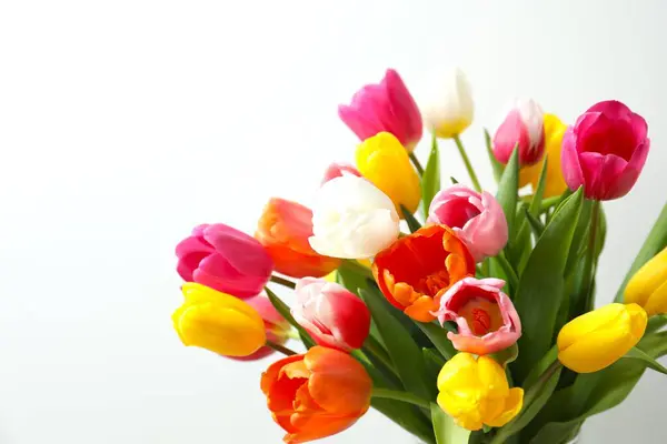 Beautiful Fresh Tulips White Background Stock Picture