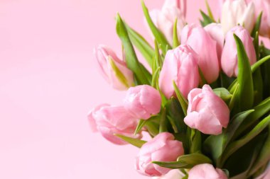 Anneler Günü konsepti. Pastel arka planda bir buket güzel lale. 