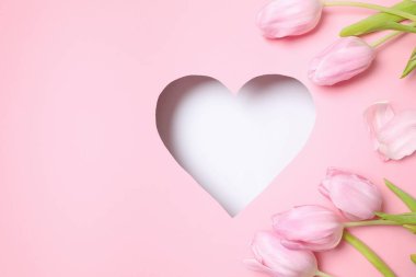 Anneler Günü konsepti. Pembe arka planda taze bahar laleleri olan bir kalp. Düz yerde, üst tarafta. Bahar çiçekleri. Metin için boşluk