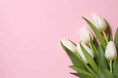 Anneler Günü konsepti. Pastel arka planda bir buket güzel lale. 