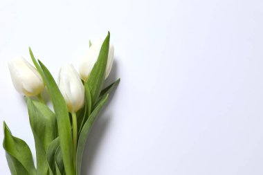 Anneler Günü konsepti. Pastel arka planda bir buket güzel lale. 