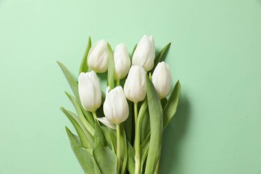 Anneler Günü konsepti. Pastel arka planda bir buket güzel lale. 