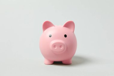 Para tasarrufu, mali güvenlik veya kişisel fon konsepti için Piggy sikke bankası