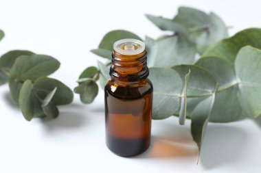 Okaliptüs, yeşil okaliptüs yapraklı cam bir şişede gerekli yağdır. Aromaterapi konsepti. Spa mı? Kozmetik ve vücut bakımı için doğal organik malzemeler.