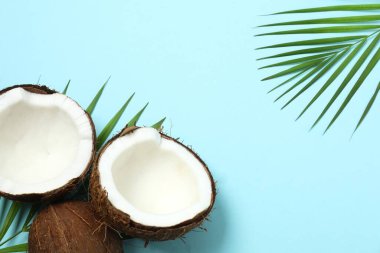 Renk arkaplanı üzerine taze hindistan cevizi, üst görünüm