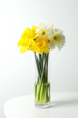 Taze bahar nergisleri vazoda 