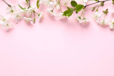 Renkli arka planda taze çiçekler. Bahar arkaplanı