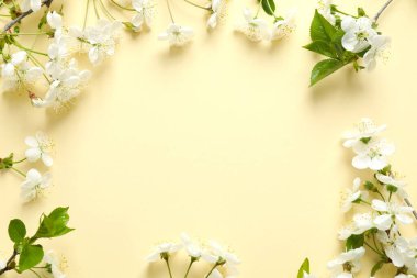 Renkli arka planda taze çiçekler. Bahar arkaplanı