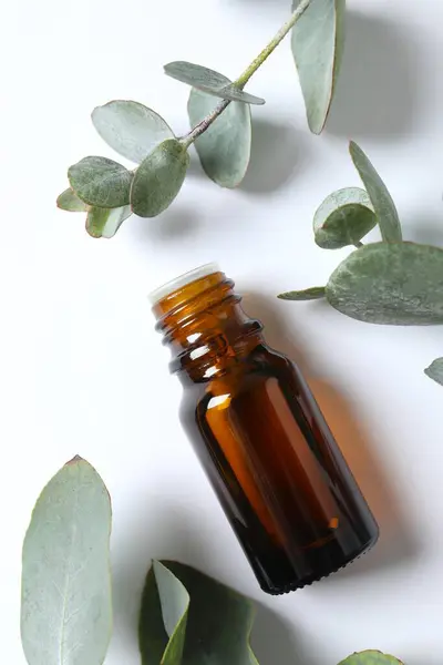 Ätherisches Eukalyptusöl Einer Glasflasche Mit Grünen Eukalyptusblättern Auf Weißem Hintergrund lizenzfreie Stockfotos