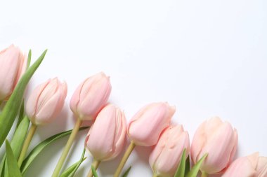 güzel taze Lale buketi 