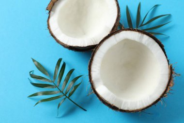 Renk arkaplan üzerinde hindistan cevizi, üst görünüm