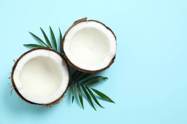 Renk arkaplan üzerinde hindistan cevizi, üst görünüm