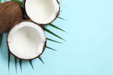 Renk arkaplan üzerinde hindistan cevizi, üst görünüm