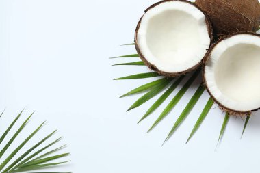 Renk arkaplan üzerinde hindistan cevizi, üst görünüm