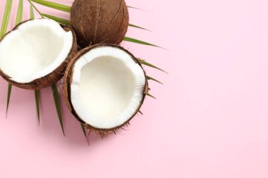 Beyaz arkaplanda hindistan cevizi, üst görünüm