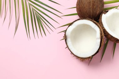 Renk arkaplan üzerinde hindistan cevizi, üst görünüm