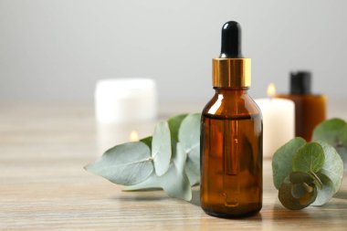 Okaliptüs, yeşil okaliptüs yapraklı cam bir şişede gerekli yağdır. Spa mı? Kozmetik ve vücut bakımı için doğal organik malzemeler.