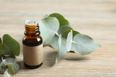 Okaliptüs, yeşil okaliptüs yapraklı cam bir şişede gerekli yağdır. Spa mı? Kozmetik ve vücut bakımı için doğal organik malzemeler.