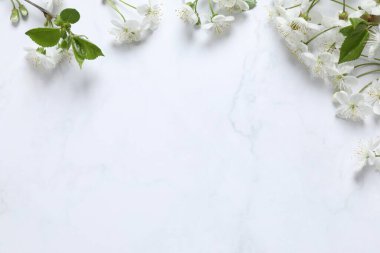 Beyaz arka planda taze çiçekler. Bahar arkaplanı