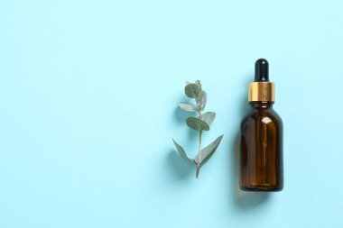 Eucalyptus essential oil in a glass bottle with green eucalyptus leaves on a color background. Aromatherapy concept. Spa. Natural organic ingredients for cosmetics and body care.