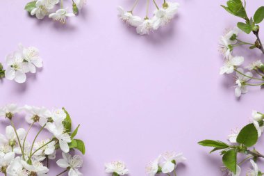 Renkli arka planda taze çiçekler. Bahar arkaplanı