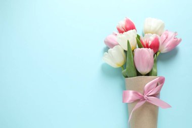 Renk arka plan üzerinde güzel taze laleler