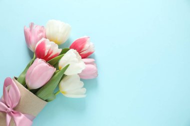 Renk arka plan üzerinde güzel taze laleler