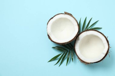 Renk arkaplan üzerinde hindistan cevizi, üst görünüm