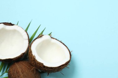 Renk arkaplan üzerinde hindistan cevizi, üst görünüm