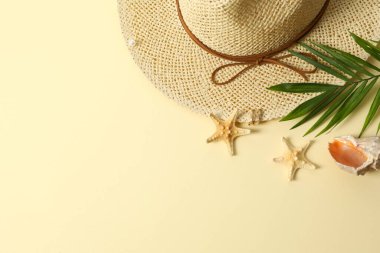 Plaj aksesuarları ve renk arkaplanı düz yatıyordu. Tatil kavramı