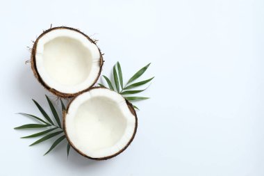 Beyaz arkaplanda hindistan cevizi, üst görünüm