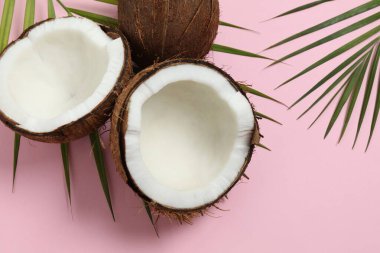 Renk arkaplan üzerinde hindistan cevizi, üst görünüm