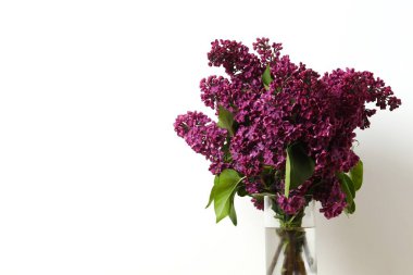 Yakın plan: açık arkaplanda mor büyük liyak çiçekleri