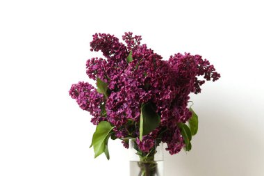 Yakın plan: açık arkaplanda mor büyük liyak çiçekleri