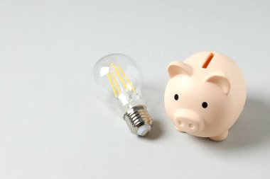 Ampul ve kumbara. Enerji ve finansman için ev ve aile kavramını, dünyayı ve enerjiyi kurtarma fikri